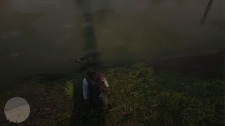 RDR2 - Feeding a Lemoyne Raider to a gator