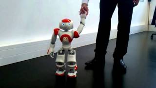 Domestic Robots||NAO robot on a walk with his master|| Medical Robots|| Industrial Robots||