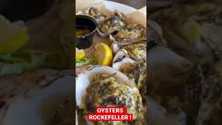 OYSTERS ROCKEFELLER  @ CAFE NOLA PENSACOLA BEACH FLORIDA #shorts  #pensacolabeach |FOODY SHORTS