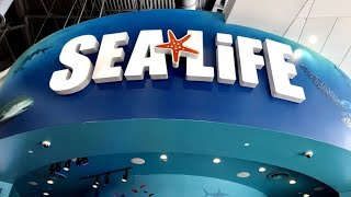 sea life and madame tussards orlando virtual tours 4k 60fps Day 4