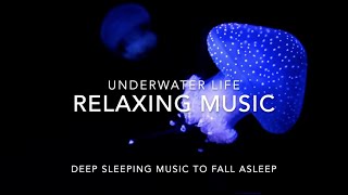 RELAXING MUSIC DEEP SLEEPING MUSIC TO FALL ASLEEP RELAXING MUSIC MEDITATION MUSIC