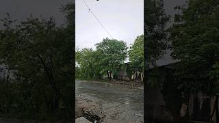 Rain shower in the beautiful morning #viral #viralvideo #youtubeshort #youtube #raninagar #nature