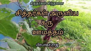 சித்தர்கள் அருளிய கரு ஊமதன்