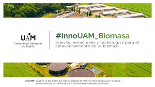 InnoUAM_Biomasa (resumen de la jornada)