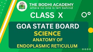 GOA BOARD || CLASS 10 || ANATOMY OF ENDOPLASMIC RETICULUM || DETAILED EXPLANATION ||