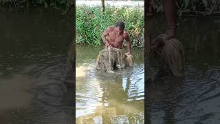 শাব ধরলো কীভাবে জালে #video #fishing #fish #amazingfishinglife #amazingfish #fishing #amazinganimals