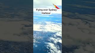 Flying over Sydney Harbour #shorts #travel #flying