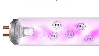 Atoms, Electrons, Photons, and Light