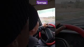 Виталик начал троить.😂Тригада мчит на базу. #топ #рек #волгоград #shorts #тригада