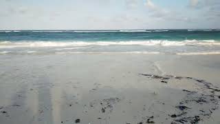 10 Acre Prime Beach Plot Kilifi Chumani Beach. (1)