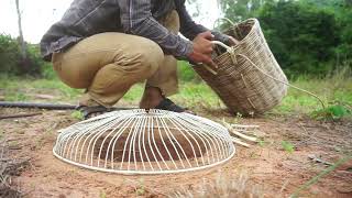 Parrot Bird Trap Using Electric Fan Guard & Hole