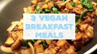 3 VEGAN BREAKFAST MEALS | Kelsey Lujan