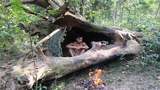 Primitive Technology: House in the trunk