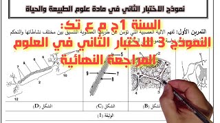 السنة الأولى علمي: النموذج 3 للاختبار الثاني في العلوم الطبيعية (التحكم العصبي والتحكم الهرموني)