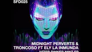 The Midnight Perverts - After Dinner Mint (Mr.C Remix)