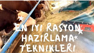 60 HAYVANLIK BESİ RASYONU HAZIRLADIK | ÖNCE HANGİ MALZEMELERİ KULLANDIK.