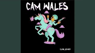 Cam Wales - Idrk [Copyright free]