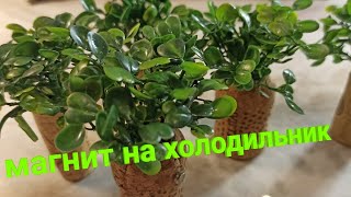 Магнит на холодильник своими руками (A refrigerator magnet) DIY