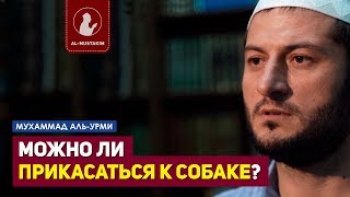 Можно ли прикасаться к собаке? Мухаммад аль-Урми