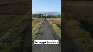 ditinggal sendirian