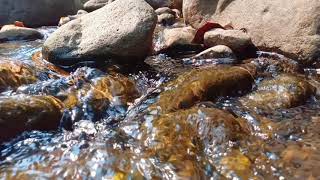 Soft Natural Water Sounds for Sleeping and Relaxing Friends | Water Sounds | Nature | River Sounds