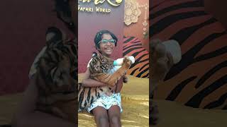 Tiger Cub Safari World Bangkok Thailand (milk drinking show with my Daughter)#thailand #tigercub