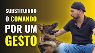 Entenda a troca do COMANDO VERBAL pelo GESTO com a MORTE mais FOFA já ENSINADA