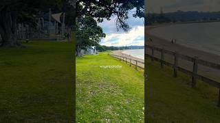 Relaxing Walk in Paihia New Zealand #shorts #nature #naturelovers #birds #beach