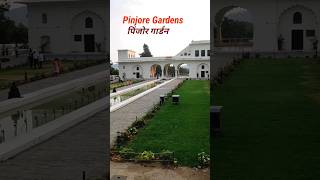 Pinjore Garden, Pinjore, Panchkula, Haryana (Yadvendra Gardens)