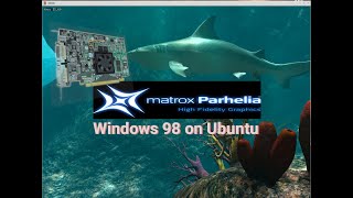 Matrox Parhelia Reef Demo running on Ubuntu emulated Windows 98 VM