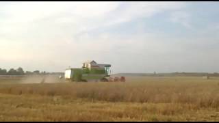 CLAAS DOMINATOR 88 SL Żniwa 2013