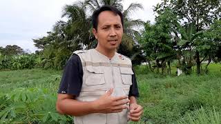 Kebun wisata sayur organik