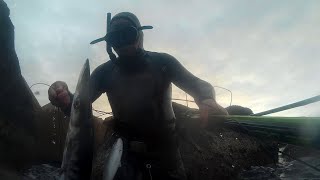 31)Pescasub -cefalo e barracuda xl prima del  calasole_spearfishing- barracuda_Porto Torres