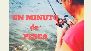 🐠🐠Un MINUTO de #PESCA🐟🐟 es FELICIDAD ETERNA