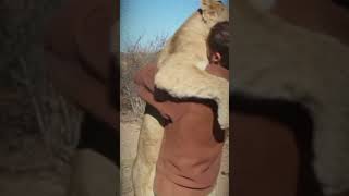 This Loving Lion Will Make You Smile