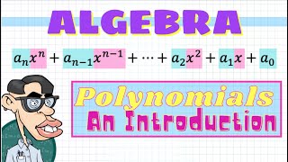 What are Polynomials? - An Introduction