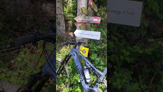 E- Bike Tour in Styria Austria #styria #food #traveling #biking #ebike #adventure