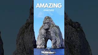 Amazing Nature Animal Shapes Rocks #vlog #nature #animal #shorts #short