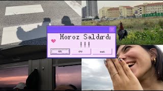 VLOG: HOROZ SALDIRDI!!!