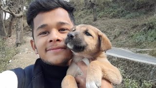 आज अपने  दोस्तों से मिला🐕। meet my friends ❤️🐕#newvlog #doglover #dogcare