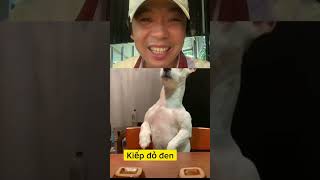 HN Official | Thử Thách Nhịn Cười Ep10 #shorts #funny #viral