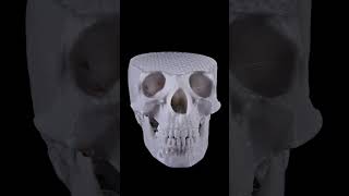 Watch a Human Skull Materialize in this Jaw-Dropping Time-Lapse!