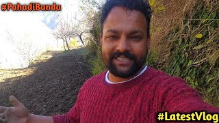 Ajju Pahadi Ka Kesar ka  Khet #pahadi #vlog @PAHADIBANDA123