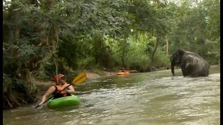 Kayaking with elephants - Mae Wang River  in Jackson Karma