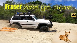 Fraser Island - Australia | ලෝකයේ ලොකුම වැලි දූපතේදි අපිට වුන දෙයක්