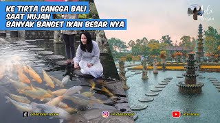 Day 3 in Bali - Ke Tirtagangga Saat Hujan Banyak Ikan Besar2