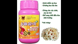 Phân Bón Lá NPK Đầu Trâu 6-30-32-TE Plus Dưỡng Nụ Hoa Đậm Màu,Hũ 100gam