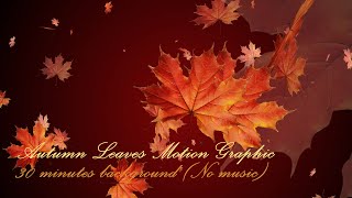 Autumn Leaves Motion Graphic - 30 minutes background (No music)