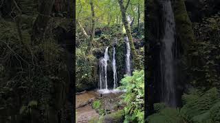 Nature + Hozier = Perfection 🌿🎵#waterfall #nature #wales #pembrokeshire #hozier #outdoors #fantasy