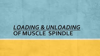 ‘Loading-Unloading’ of Muscle Spindle & Jendrassik Maneuvre